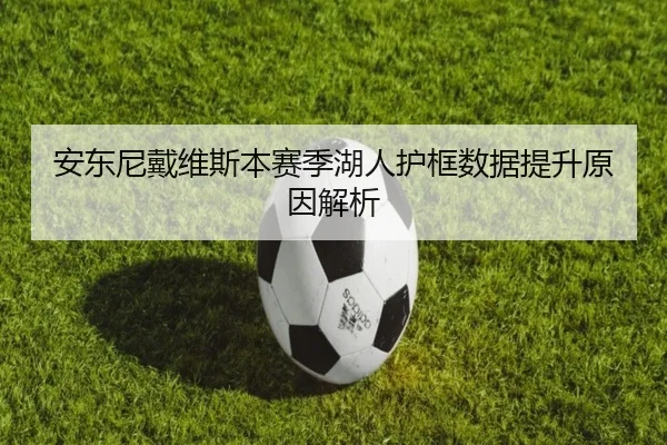 安东尼戴维斯本赛季湖人护框数据提升原因解析